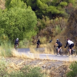 Bikecat-Wine-Tour-2016-055