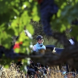 Bikecat-Wine-Tour-2016-056