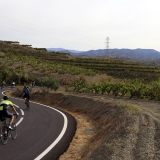 Bikecat-Wine-Tour-2016-062