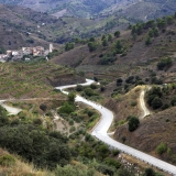 Bikecat-Wine-Tour-2016-097
