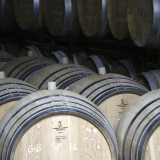Bikecat-Wine-Tour-2016-115