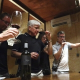 Bikecat-Wine-Tour-2016-119