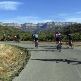 Bikecat-Wine-Tour-2016-125