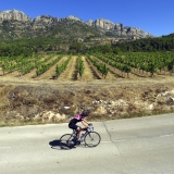 Bikecat-Wine-Tour-2016-141