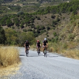 Bikecat-Wine-Tour-2016-150