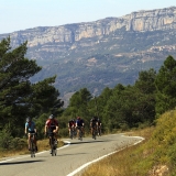 Bikecat-Wine-Tour-2016-157
