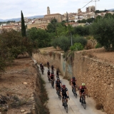 Bikecat-Wine-Tour-2016-185