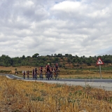 Bikecat-Wine-Tour-2016-189