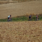 Bikecat-Wine-Tour-2016-199