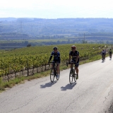 Bikecat-Wine-Tour-2016-216