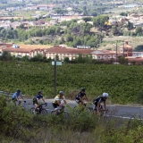 Bikecat-Wine-Tour-2016-222