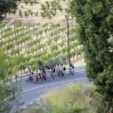 Bikecat-Wine-Tour-2016-224