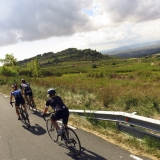 Bikecat-Wine-Tour-2016-232