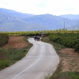 Bikecat-Wine-Tour-2016-234