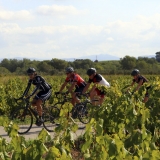 Bikecat-Wine-Tour-2016-245