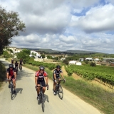 Bikecat-Wine-Tour-2016-250