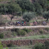 Bikecat-Mariposa-Priorat-Wine-Tour-2018-026