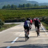 Bikecat-Mariposa-Priorat-Wine-Tour-2018-027
