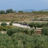 Bikecat-Mariposa-Priorat-Wine-Tour-2018-028