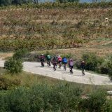 Bikecat-Mariposa-Priorat-Wine-Tour-2018-029