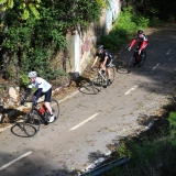 Bikecat-Mariposa-Priorat-Wine-Tour-2018-031