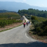 Bikecat-Mariposa-Priorat-Wine-Tour-2018-033