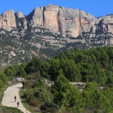 Bikecat-Mariposa-Priorat-Wine-Tour-2018-097