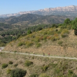 Bikecat-Mariposa-Priorat-Wine-Tour-2018-103