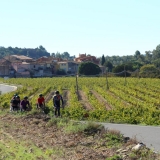 Bikecat-Mariposa-Priorat-Wine-Tour-2018-148