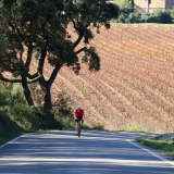 Bikecat-Mariposa-Priorat-Wine-Tour-2018-159