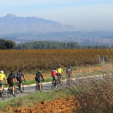 Bikecat-Mariposa-Priorat-Wine-Tour-2018-177