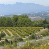 Bikecat-Mariposa-Priorat-Wine-Tour-2018-188
