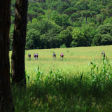 WWCC-Girona_Cycling_Tour_2025-197