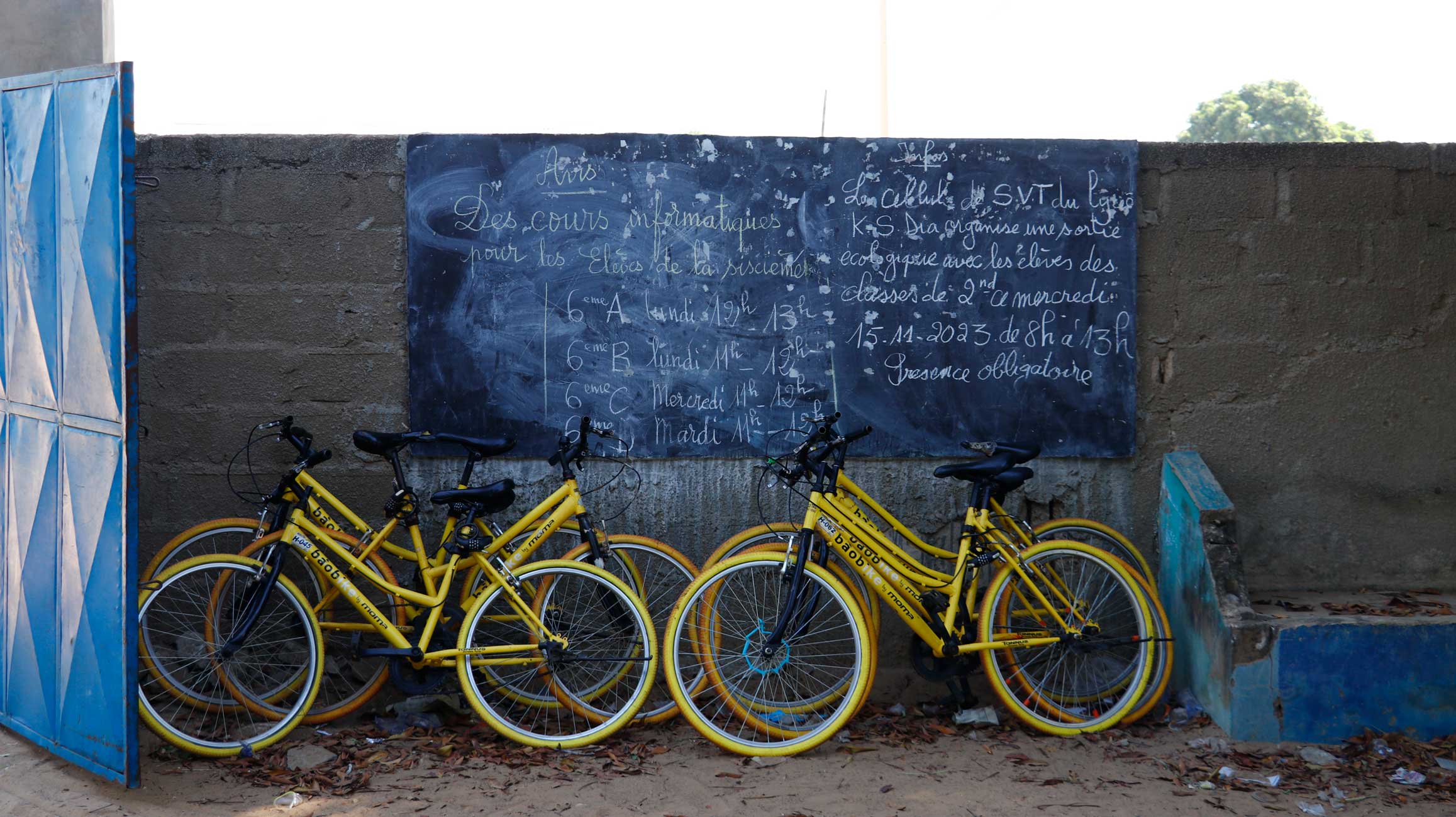 Senegal_05 Senegal Bikecat