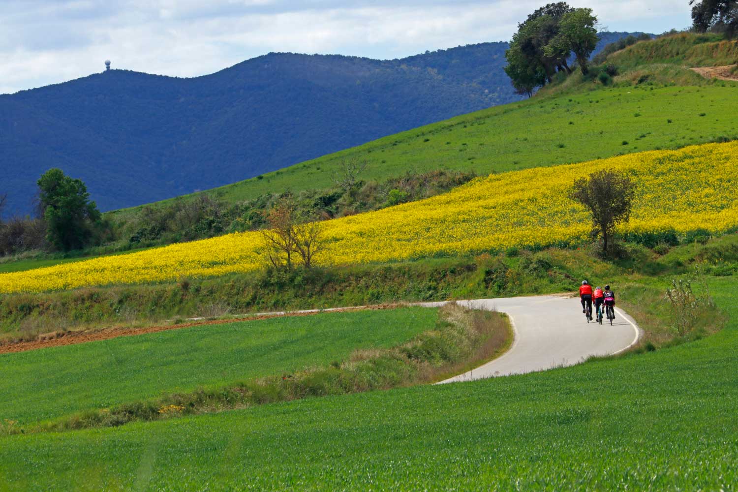Girona Open Tour
